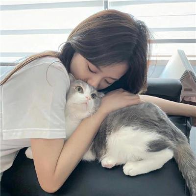机器战犬