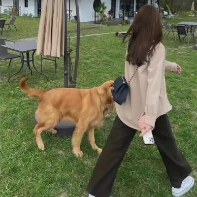 暴力监狱第四季